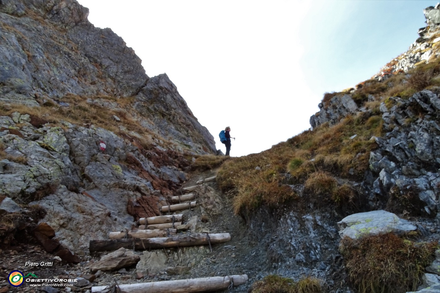 39 Scaletta in legno per la Bocchetta dei lupi (2316 m).JPG